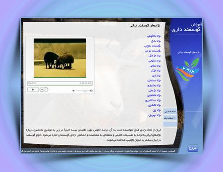 آموزش پرورش گوسفند
