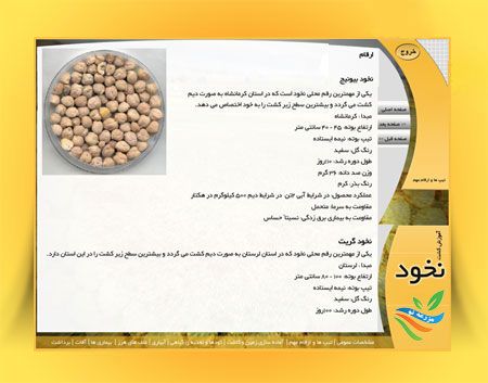کاشت تا برداشت نخود