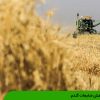 کاهش ضایعات گندم