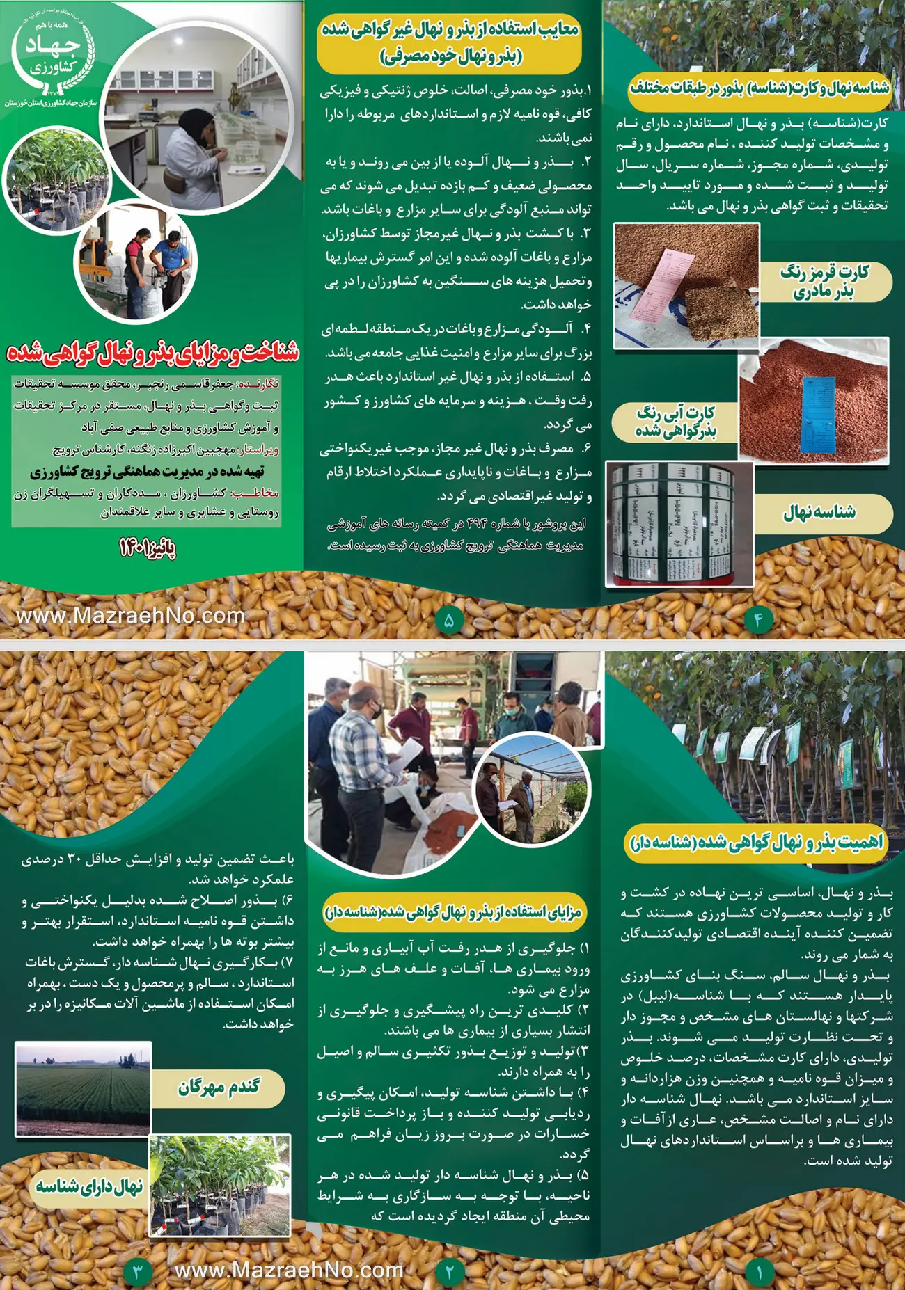 شناخت و مزایای بذر و نهال گواهی شده
