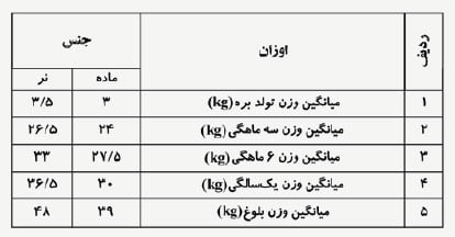 وضعیت پرورش گوسفند داشتی و مرتعی ( بلوچی ) در استان یزد