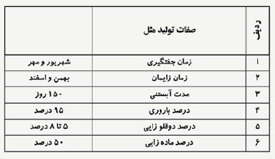 وضعیت پرورش گوسفند داشتی و مرتعی ( بلوچی ) در استان یزد