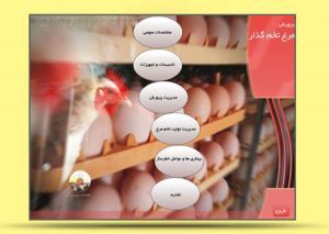 برنامه تحت ویندوز آموزش ۰ تا ۱۰۰ پرورش مرغ تخم گذار