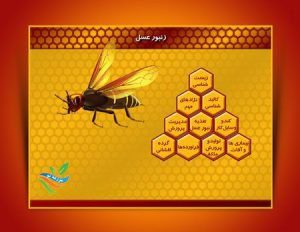 نرم افزار آموزش ۰ تا ۱۰۰ پرورش زنبور عسل