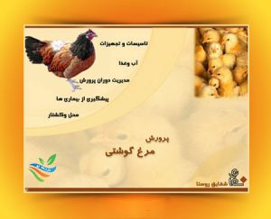 برنامه تحت ویندوز آموزش ۰ تا ۱۰۰ پرورش مرغ گوشتی