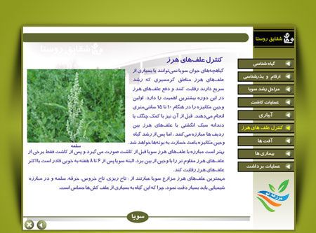 کاشت تا برداشت سویا