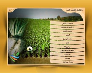 برنامه تحت ویندوز آموزش ۰ تا ۱۰۰ کاشت تا برداشت چغندر قند