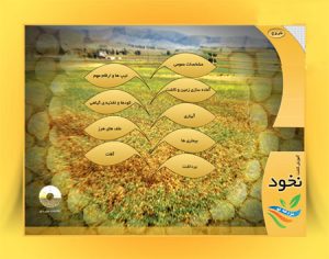 برنامه تحت ویندوز آموزش ۰ تا ۱۰۰ کاشت تا برداشت نخود