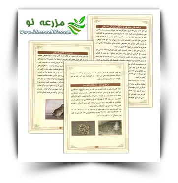 پرورش بلدرچین
