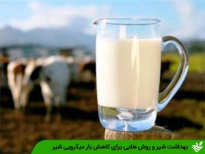 بهداشت شیر و روش هایی برای کاهش بار میکروبی شیر