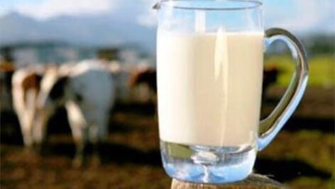 بهداشت شیر و روش هایی برای کاهش بار میکروبی شیر