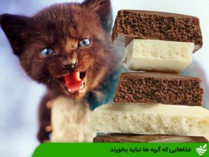 غذاهایی که گربه ها نباید بخورند