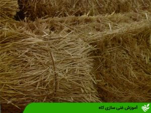آموزش غنی سازی کاه