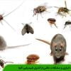 آفات انباری و مشکلات ناشی از کنترل شیمیایی آنها