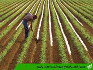 دستور العمل اصلاح شیوه کشت غلات پاییزه