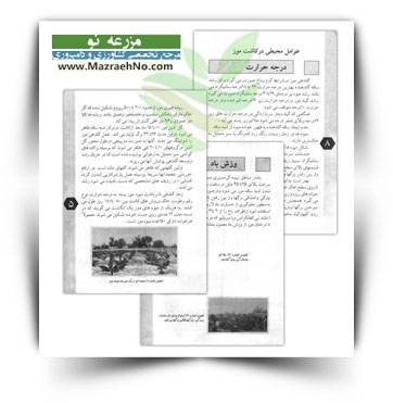 دانلود کتاب آموزش موز کاری در هرمزگان