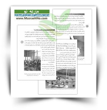 آموزش پرورش بوقلمون