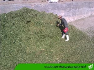 آنچه درباره سیلوی علوفه باید دانست