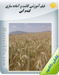فیلم آموزش کاشت و آماده سازی گندم آبی
