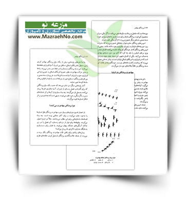 دانلود کتاب ویژگی ها و تبار پرندگان مهاجر