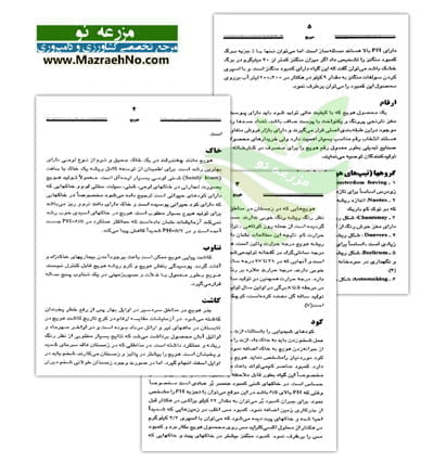 دانلود کتاب کاشت، داشت و برداشت هویج