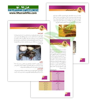 دانلود کتاب آشنایی با اصول پرورش بوقلمون
