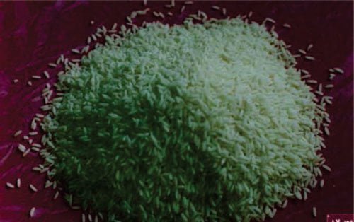 معرفی برنج رقم عنبربو