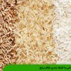 آشنایی با طبقه بندی ارقام برنج
