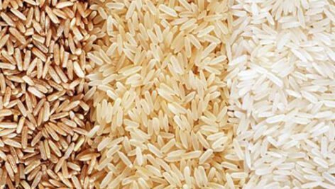 آشنایی با طبقه بندی ارقام برنج