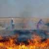 مهمترین مضرات آتش زدن بقایای گیاهی در اراضی زراعی