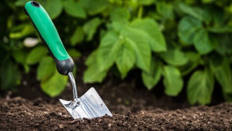 کود سبز چیست؟