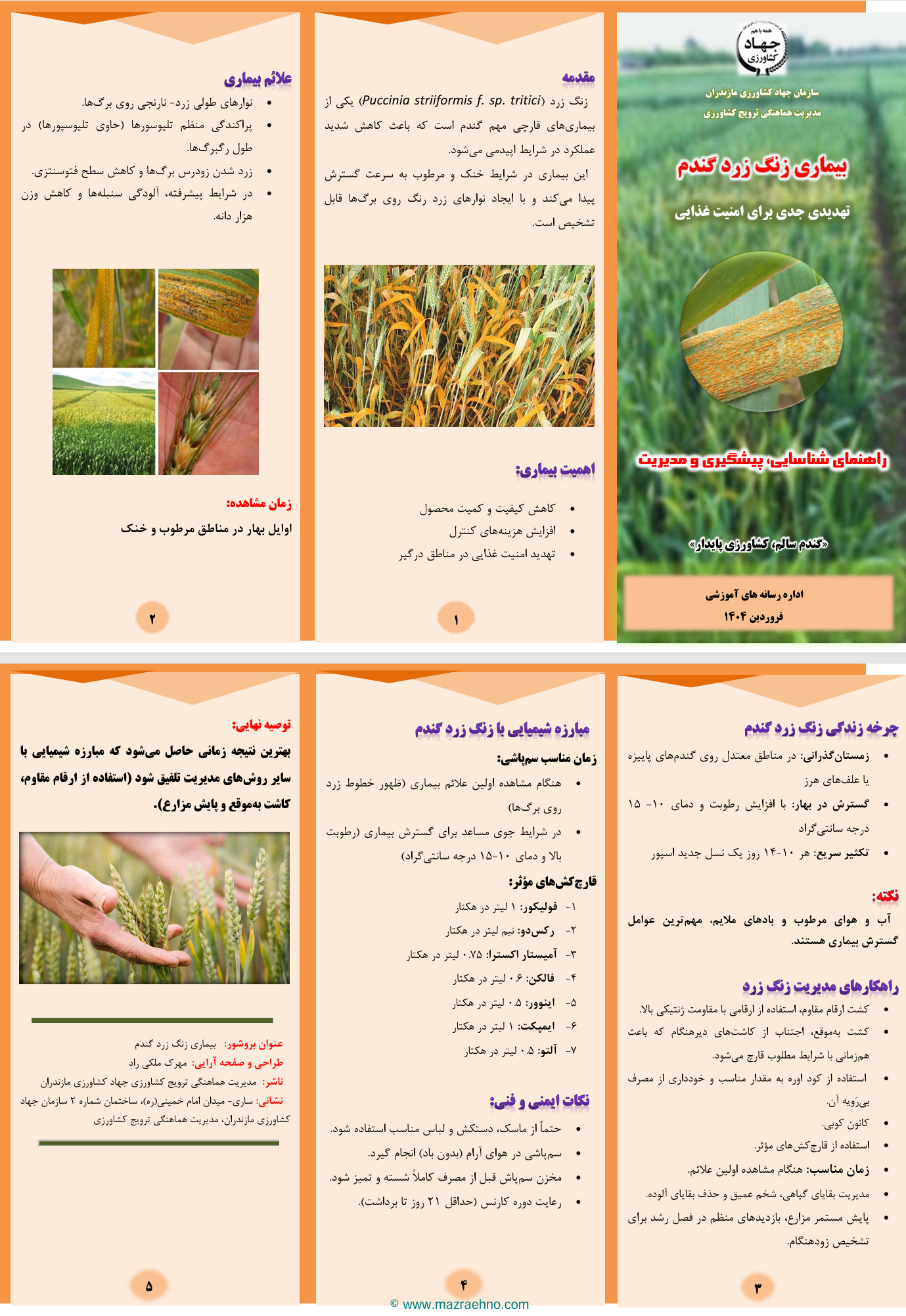 بیماری زنگ زرد گندم