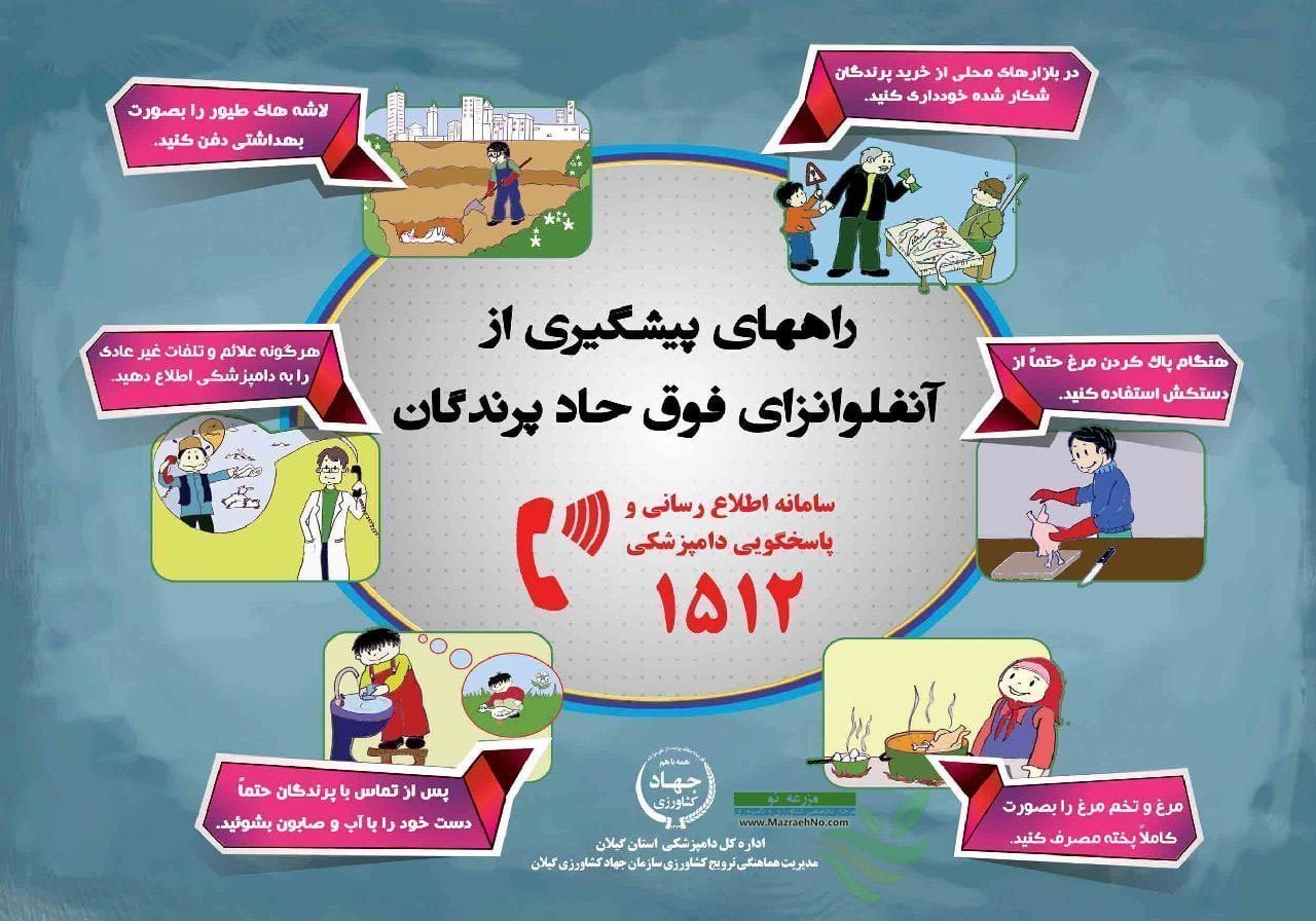 اینفوگرافیک راههای پیشگیری از آنفلوانزای فوق حاد پرندگان