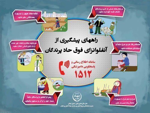 اینفوگرافیک راههای پیشگیری از آنفلوانزای فوق حاد پرندگان