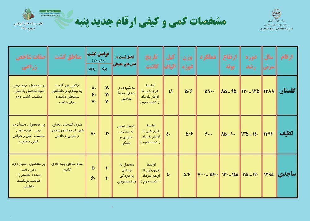 مشخصات کمی و کیفی ارقام جدید پنبه