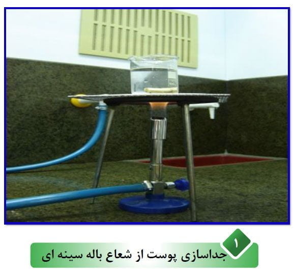 بهترین روش تعیین سن ماهی اسبله