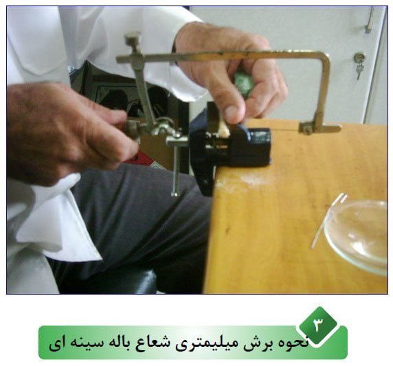 بهترین روش تعیین سن ماهی اسبله