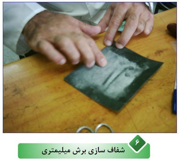 بهترین روش تعیین سن ماهی اسبله