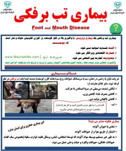 پوستر بیماری تب برفکی