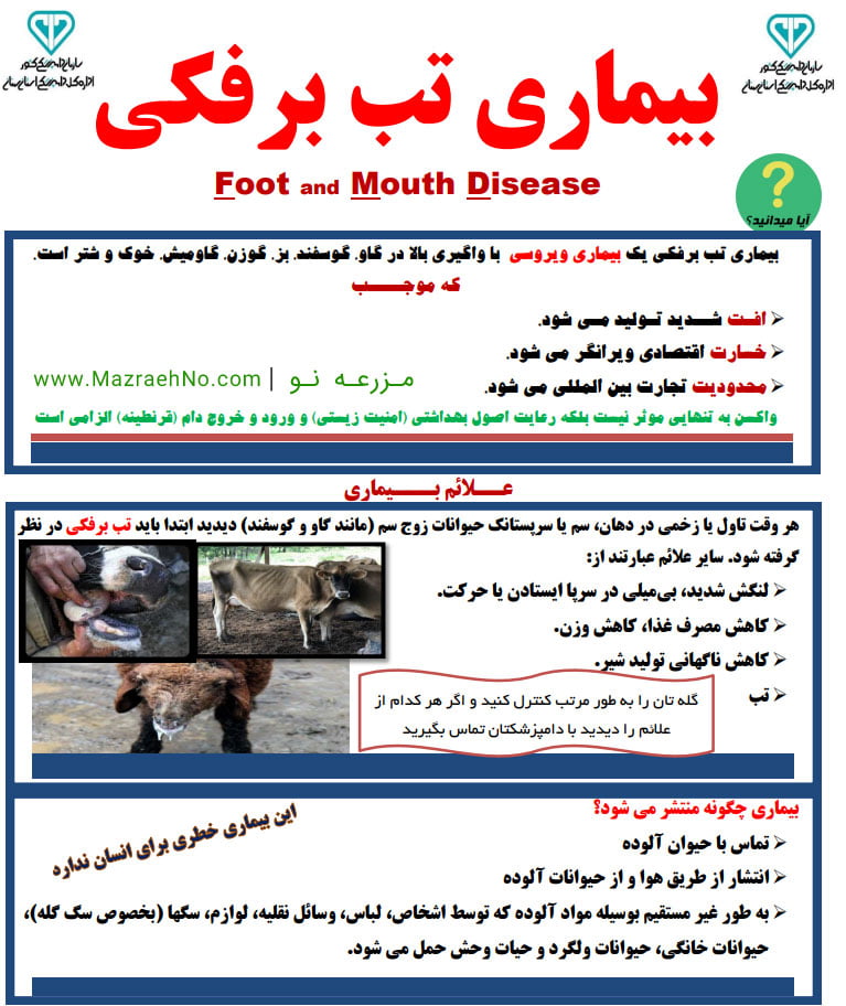 پوستر بیماری تب برفکی