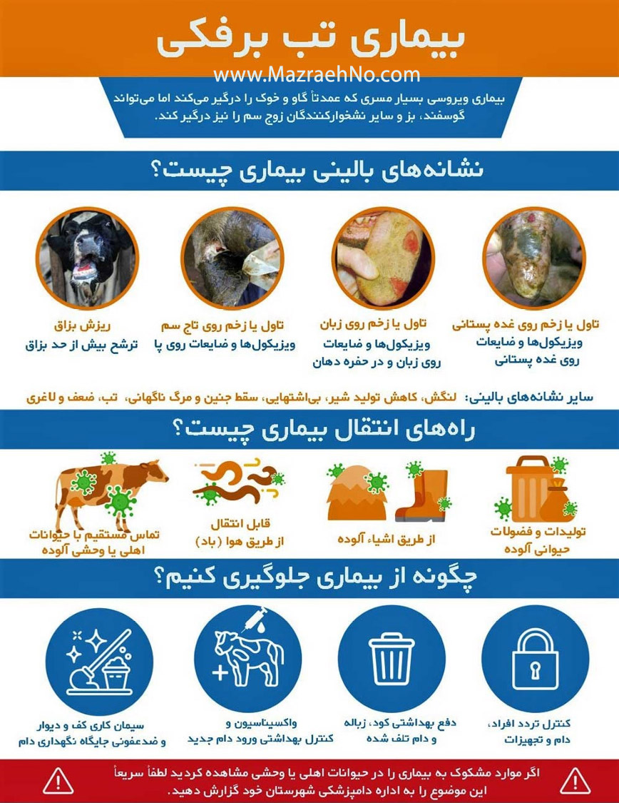 بیماری تب برفکی- نشانه‌ها، راه‌های انتقال و پیشگیری