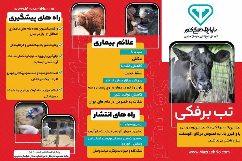 بیماری ویروسی تب برفکی