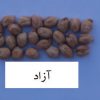 رقم نخود آزاد مناسب کشت در مناطق دیم