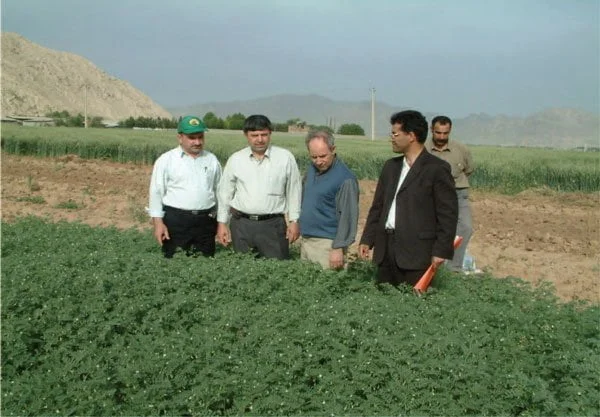 شکل ۲- ارتفاع بوته رقم نخود آرمان در کشت پاییزه در شرایط دیم در استان لرستان