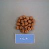 رقم نخود آرمان مناسب کشت در مناطق دیم