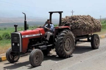 آشنایی با سیر