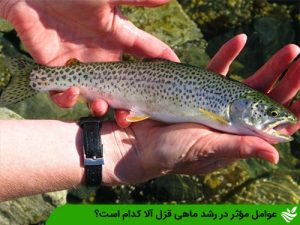 عوامل مؤثر در رشد ماهی قزل آلا كدام است؟