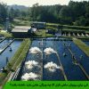 منابع آبی برای پرورش ماهی قزل آلا چه ویژگی هایی باید داشته باشد؟
