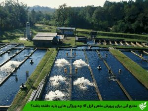 منابع آبی برای پرورش ماهی قزل آلا چه ویژگی هایی باید داشته باشد؟