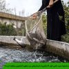 صید ماهی قزل آلا بازاری از استخر